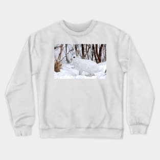 Snowshoe Hare Crewneck Sweatshirt